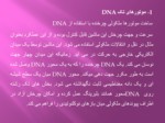 دانلود فایل پاورپوینت DNA موتورها صفحه 5 