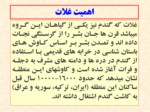 دانلود فایل پاورپوینت اهمیت گندم در جهان ، تولید ایران و مقایسه کیفیت گندمهای تولیدی استان کردستان با کشور صفحه 2 