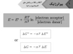 دانلود فایل پاورپوینت بیوانرژتیک صفحه 18 