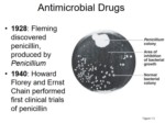 دانلود فایل پاورپوینت عوامل شیمی درمانی ویا آنتی بیوتیک ها صفحه 6 