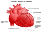 دانلود فایل پاورپوینت ورزش و دویدن در بیماران قلبی صفحه 6 