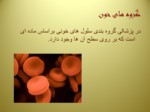 دانلود فایل پاورپوینت DNA و RNA صفحه 19 