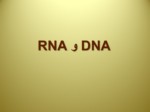 دانلود فایل پاورپوینت DNA و RNA صفحه 1 