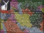 دانلود فایل پاورپوینت معرفی کشورهای همسایه ایران صفحه 10 