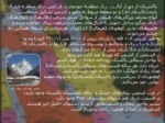 دانلود فایل پاورپوینت معرفی کشورهای همسایه ایران صفحه 7 