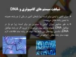 دانلود فایل پاورپوینت ساختار DNA و استفاده آن در صنعت صفحه 4 