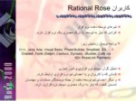 دانلود فایل پاورپوینت آموزش نرم افزار رشنال رز ( Rational Rose ) صفحه 4 