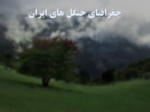 دانلود فایل پاورپوینت جغرافیای جنگل های ایران صفحه 1 