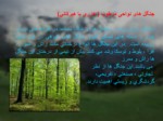 دانلود فایل پاورپوینت جغرافیای جنگل های ایران صفحه 4 