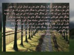 دانلود فایل پاورپوینت جغرافیای جنگل های ایران صفحه 5 