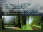 دانلود فایل پاورپوینت جغرافیای جنگل های ایران صفحه 6 