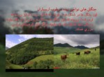 دانلود فایل پاورپوینت جغرافیای جنگل های ایران صفحه 7 