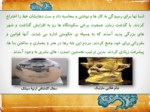 دانلود فایل پاورپوینت قدیمی ترین سکونتگاه های ایران ( مطالعات اجتماعی ) صفحه 9 