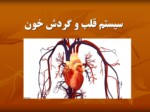 دانلود فایل پاورپوینت سیستم قلب و گردش خون صفحه 1 