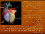 دانلود فایل پاورپوینت سیستم قلب و گردش خون صفحه 7 