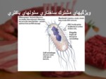 دانلود فایل پاورپوینت مفاهیم میکروبیولوژی مواد غذایی صفحه 20 