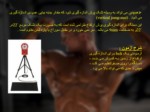 دانلود فایل پاورپوینت آموزش اندازه گیری توان عضلانی بدن صفحه 6 