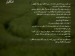 دانلود فایل پاورپوینت مدیریت روستایی در ایران قبل از انقلاب اسلامی صفحه 11 