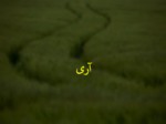 دانلود فایل پاورپوینت مدیریت روستایی در ایران قبل از انقلاب اسلامی صفحه 6 