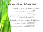 دانلود پاورپوینت مسیریابی در شبکه اینترنت صفحه 11 