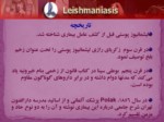 دانلود فایل پاورپوینت تاژکداران نسج و خون صفحه 4 
