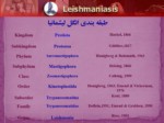دانلود فایل پاورپوینت تاژکداران نسج و خون صفحه 6 