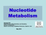 دانلود فایل پاورپوینت Nucleotide Metabolism صفحه 1 