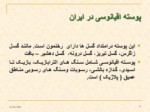 دانلود فایل پاورپوینت زمین شناسی ایران صفحه 7 