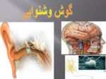 دانلود فایل پاورپوینت شگفتی های پزشکی در قرآن کریم و بیان معصومین ( ع ) صفحه 3 