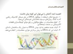 دانلود فایل پاورپوینت آشنایی با کامپیوترهای مولکولی دی ان ای ( DNA ) صفحه 6 