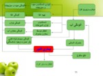 دانلود فایل پاورپوینت وبای التور صفحه 11 