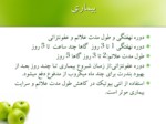 دانلود فایل پاورپوینت وبای التور صفحه 15 