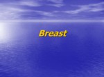دانلود فایل پاورپوینت سینه Breast صفحه 1 