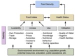 دانلود فایل پاورپوینت امنیت غذایی Food Security صفحه 18 