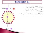 دانلود فایل پاورپوینت Hemoglobin A2 صفحه 14 
