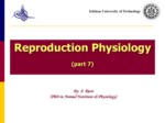 دانلود فایل پاورپوینت Reproduction Physiology ) part 7 ) صفحه 1 