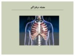 دانلود فایل پاورپویتنت آناتومی بدن انسان صفحه 4 
