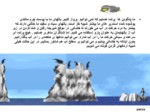 دانلود فایل پاورپوینت سرگذشت یک پنگوئن صفحه 5 