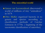 دانلود فایل پاورپوینت میکروبیولوژی صفحه 6 