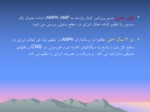 دانلود فایل پاورپوینت AMPK چیست صفحه 2 