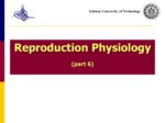 دانلود فایل پاورپوینت ( Reproduction Physiology ( part 6 صفحه 1 