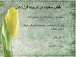 دانلود فایل پاورپوینت ارزش محبت در تعالیم اسلامی صفحه 11 