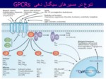دانلود فایل پاورپوینت نقش های پیام رسانی GPCRs در رونویسی ژن و بیولوژی سرطان صفحه 10 