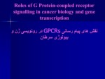 دانلود فایل پاورپوینت نقش های پیام رسانی GPCRs در رونویسی ژن و بیولوژی سرطان صفحه 1 