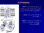 دانلود فایل پاورپوینت نقش های پیام رسانی GPCRs در رونویسی ژن و بیولوژی سرطان صفحه 8 