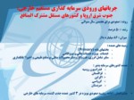 دانلود فایل پاورپوینت شرکتهای فراملی و چالشهای زیرساختی صفحه 12 