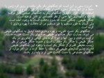 دانلود فایل پاورپوینت اکوسیستم های طبیعی و نگاهی به اکوسیستم ایران صفحه 15 