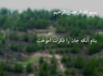 دانلود فایل پاورپوینت اکوسیستم های طبیعی و نگاهی به اکوسیستم ایران صفحه 2 