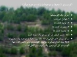 دانلود فایل پاورپوینت اکوسیستم های طبیعی و نگاهی به اکوسیستم ایران صفحه 4 