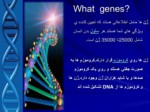 دانلود فایل پاورپوینت علم ژنتیک صفحه 2 